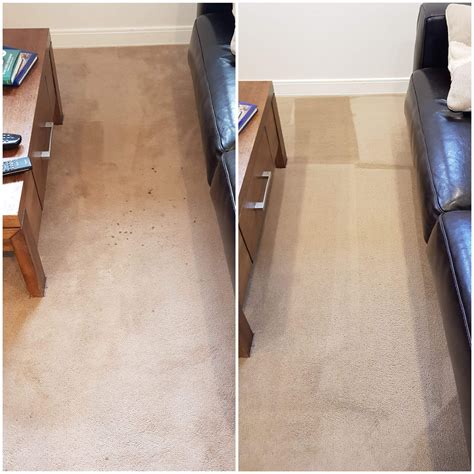 How to get dried dog pee out of carpet. Things To Know About How to get dried dog pee out of carpet. 